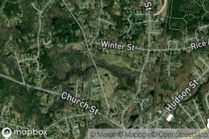 Bushs Pond (historical)