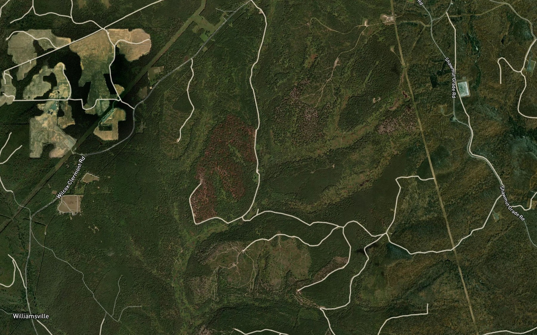 Satellite map of the Gum Boot Run