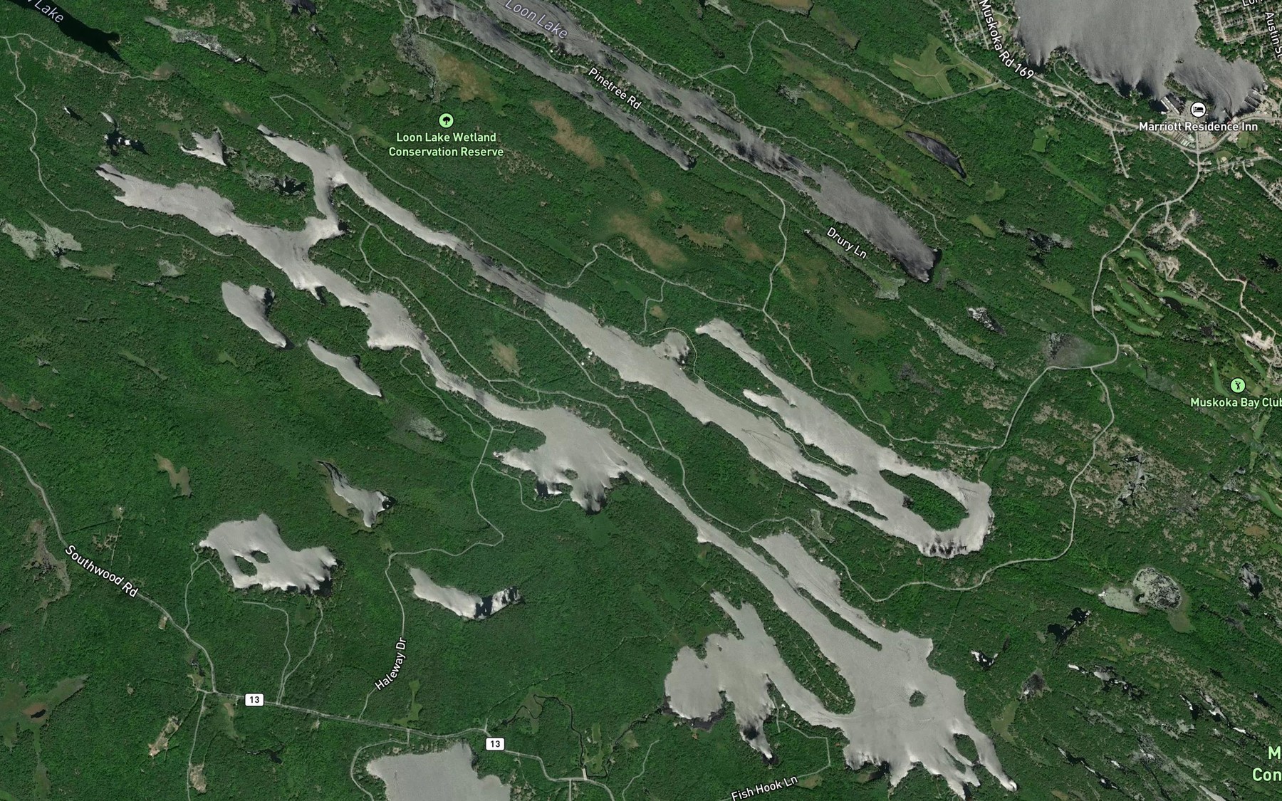 Satellite map of the Muldrew Lakes