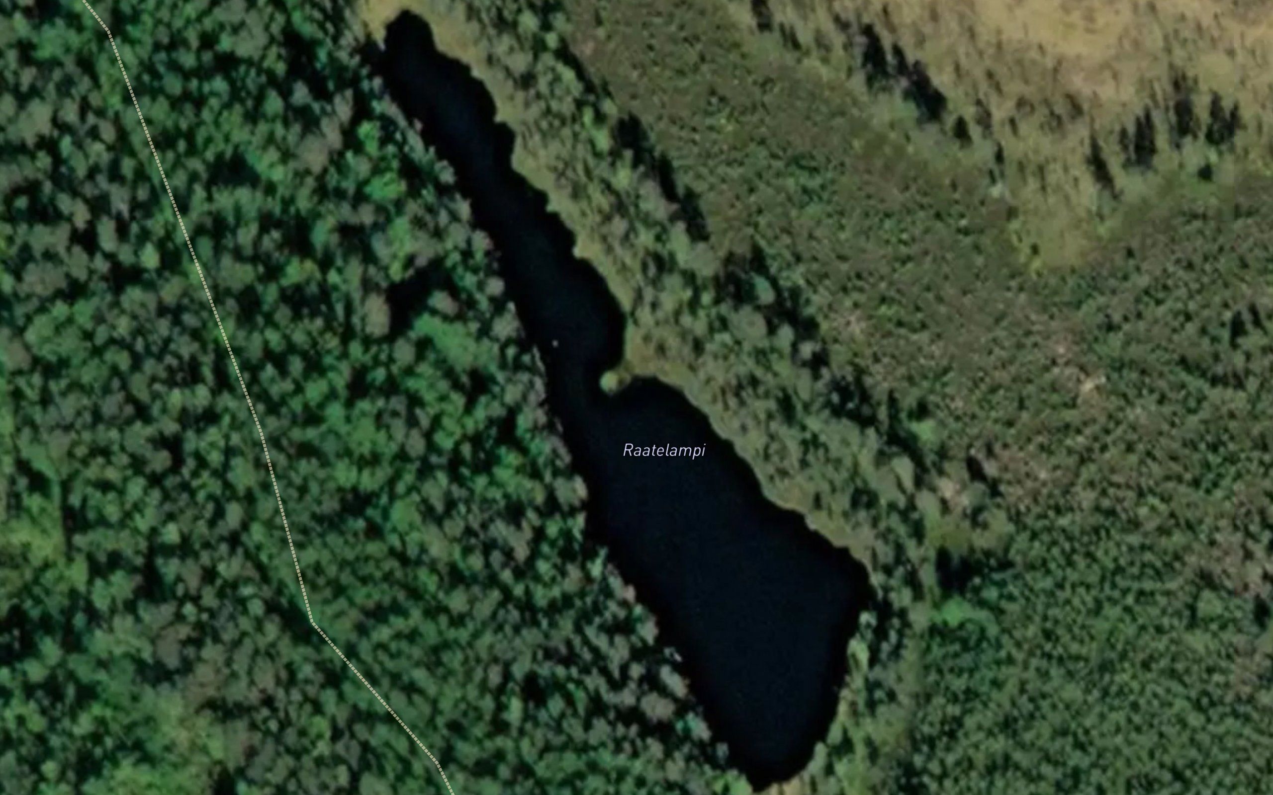 Raatelampi