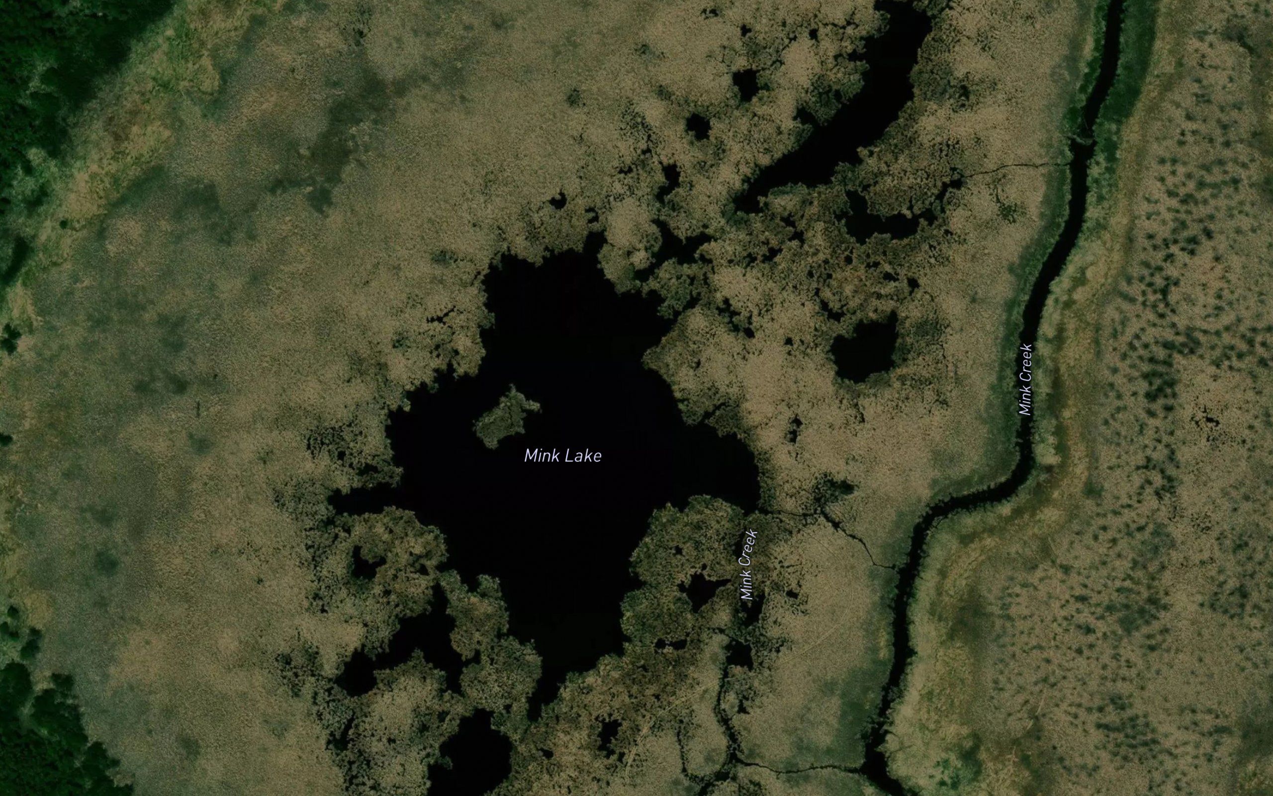 Mink Lake