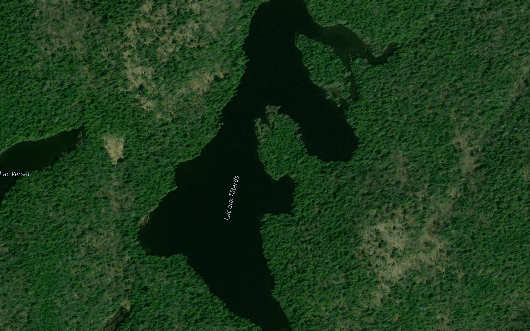 Satellite map of the Lac aux Tetards