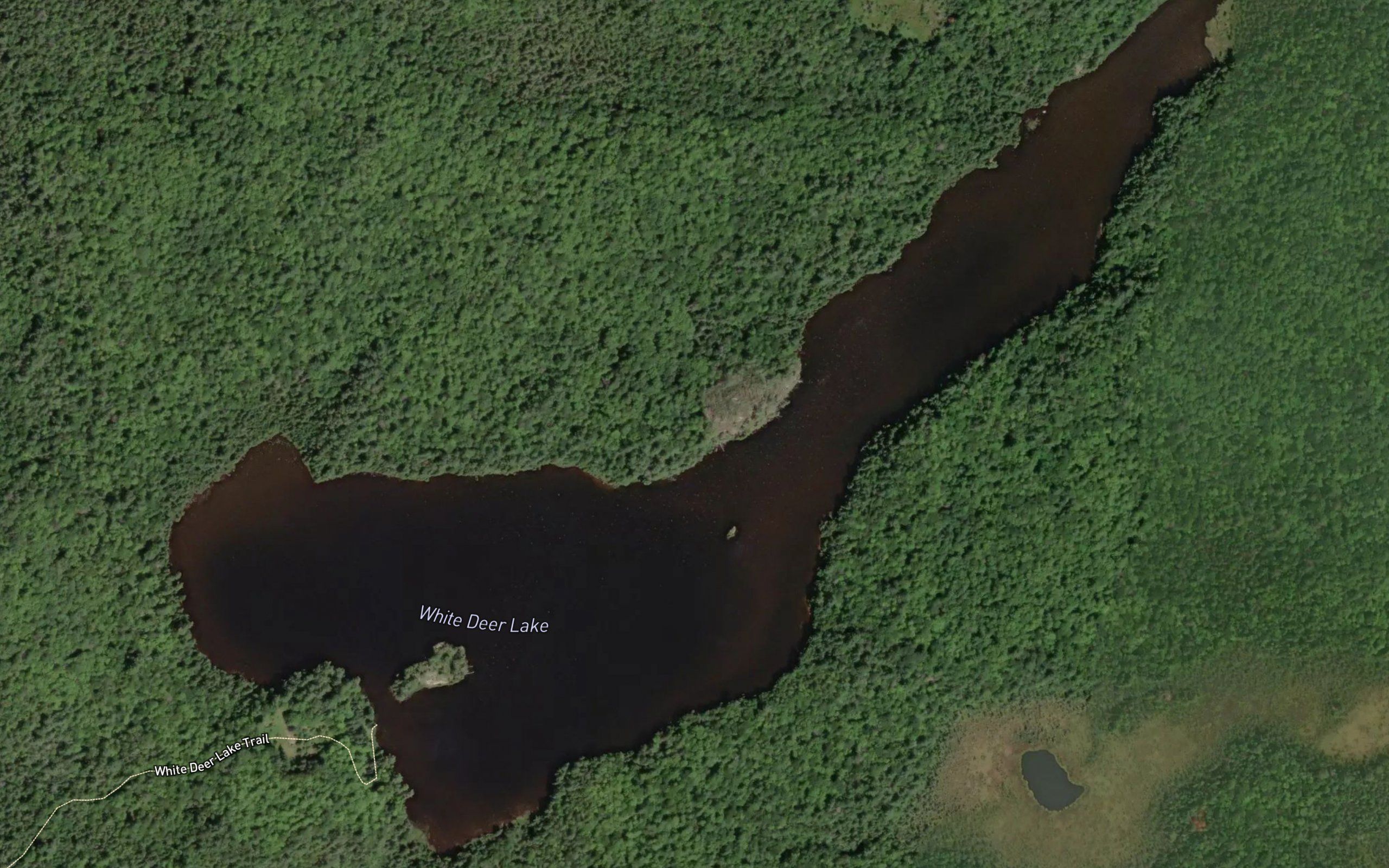 White Deer Lake