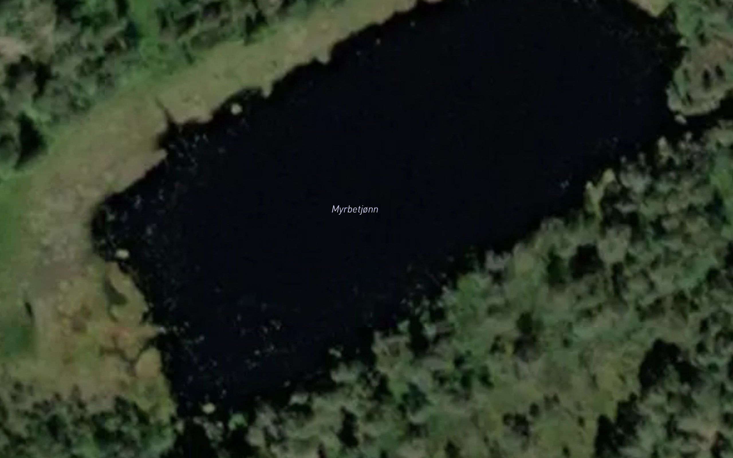Myrbetjonn