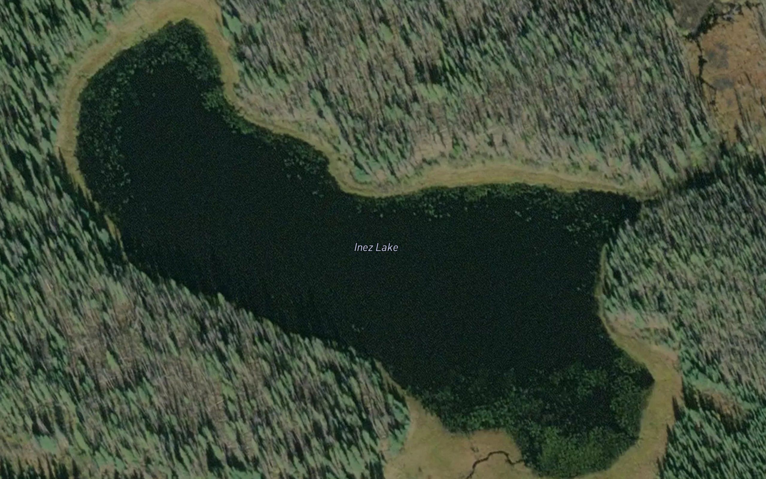 Inez Lake