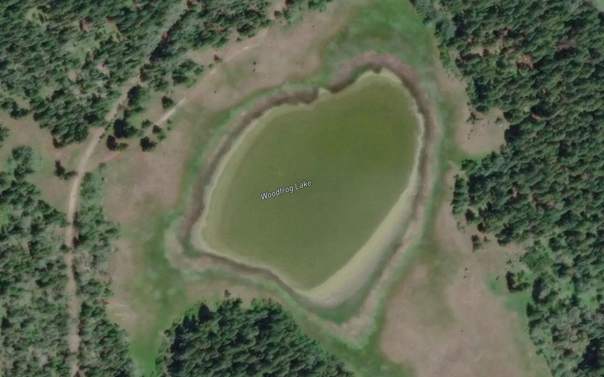 Woodfrog Lake