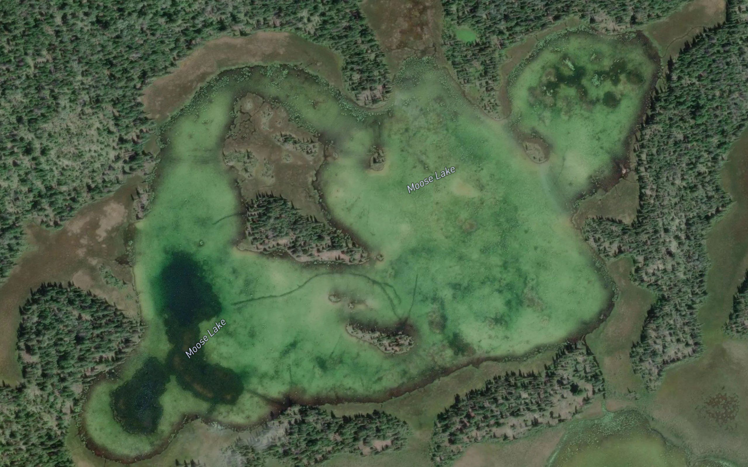 Moose Lake