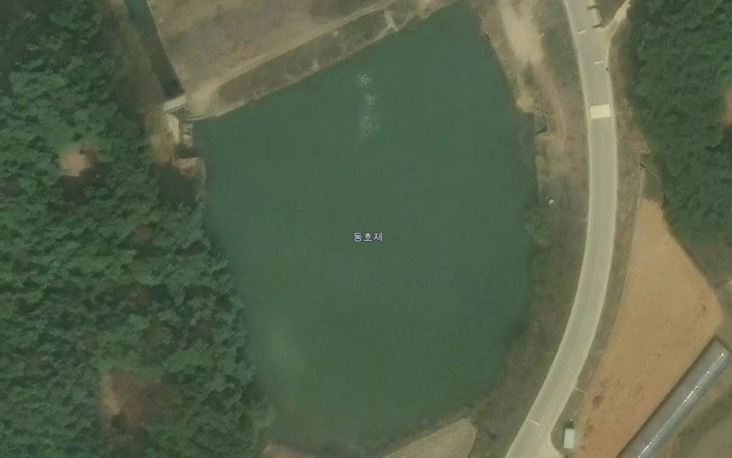 Donghoje