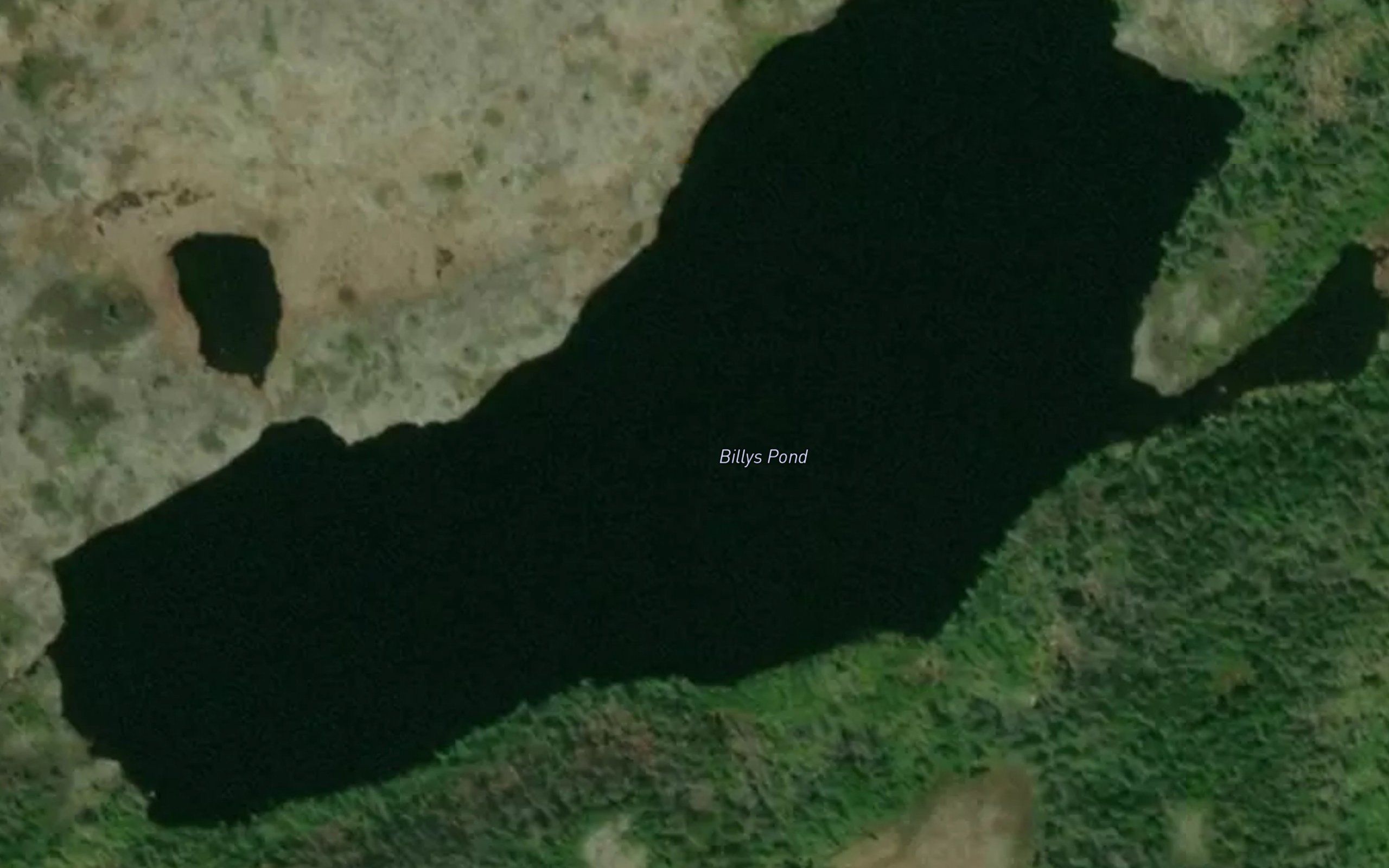 Billys Pond