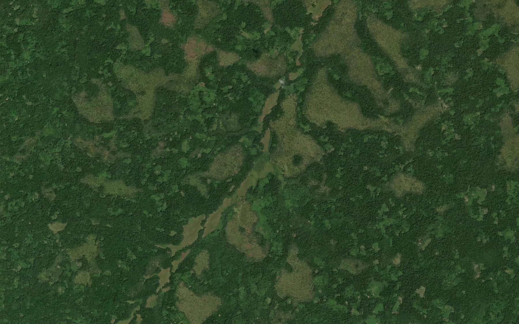 Satellite map of the Ngumele