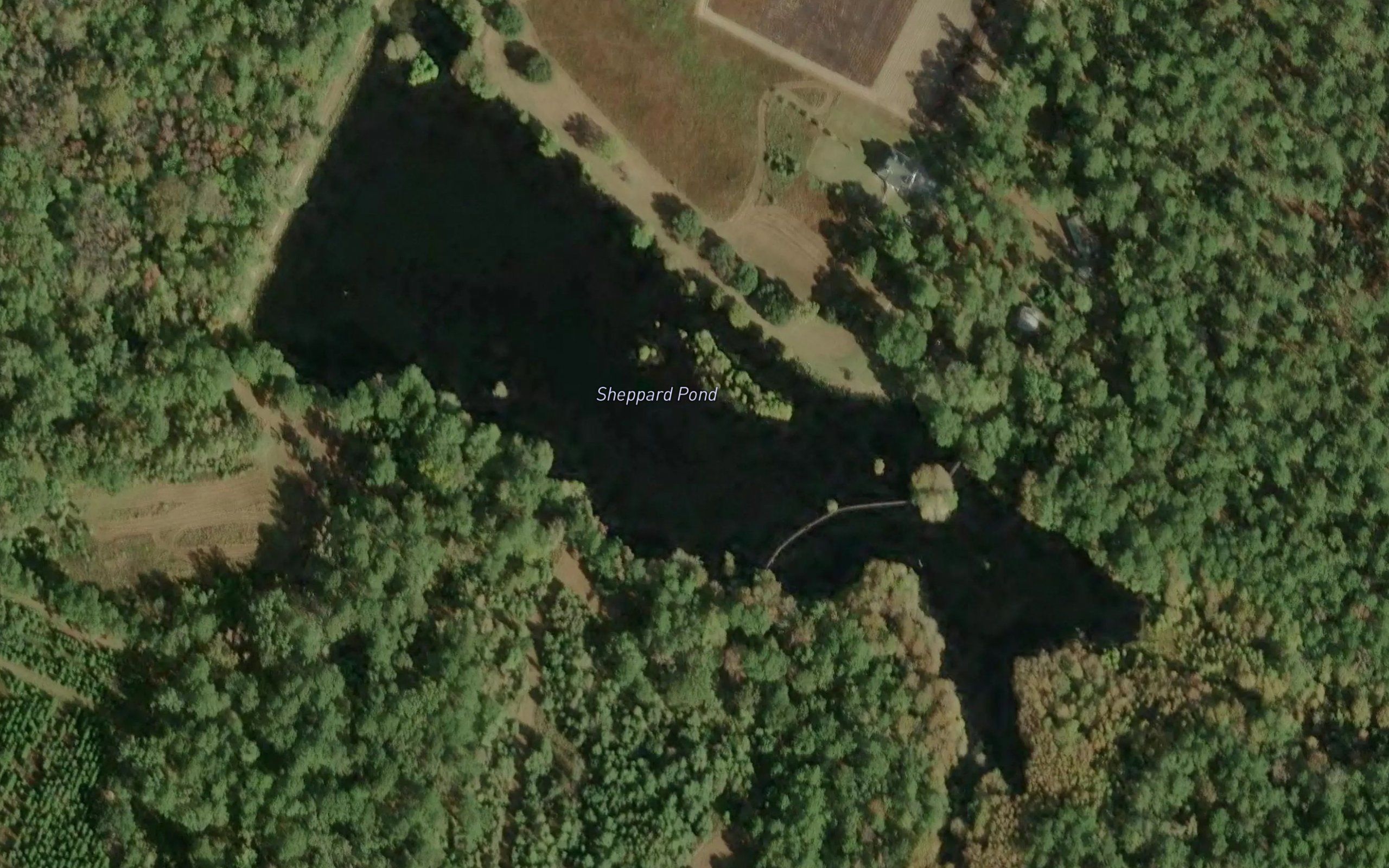 Sheppard Pond