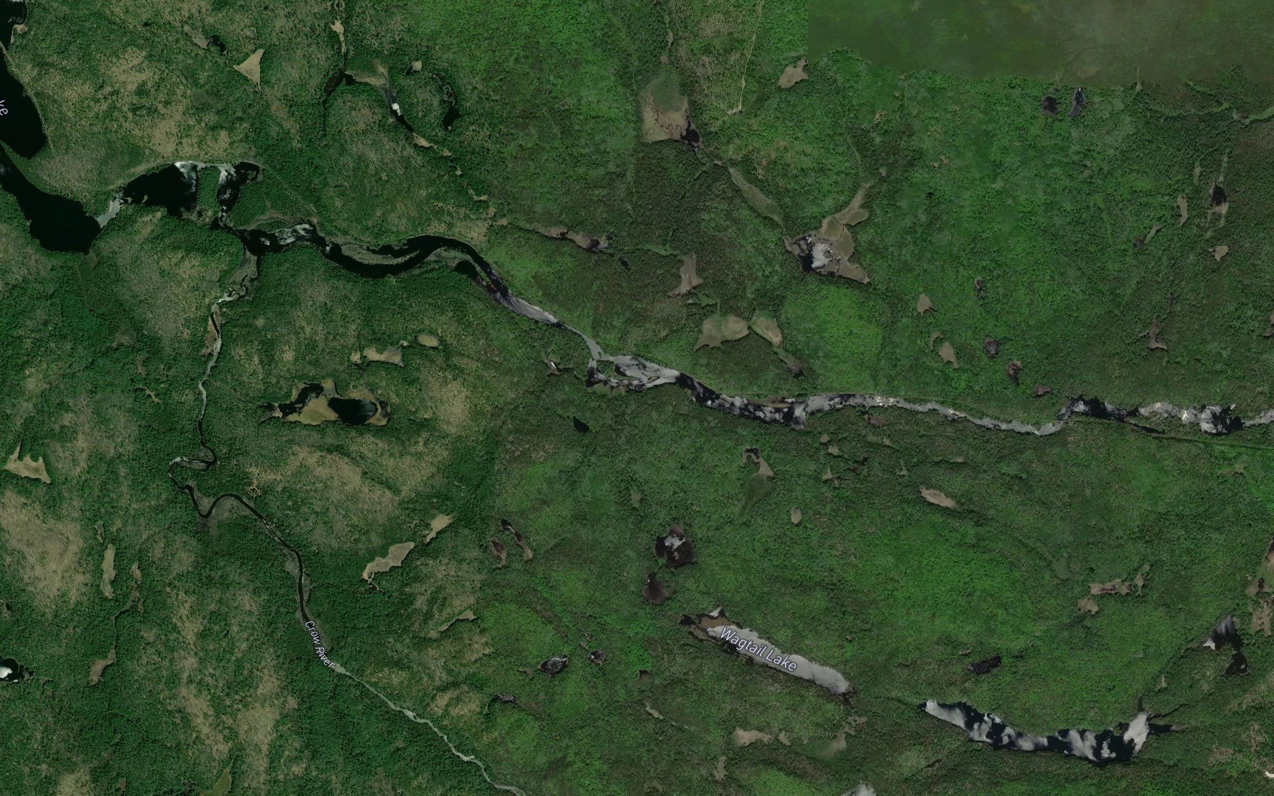 Wagtail Creek