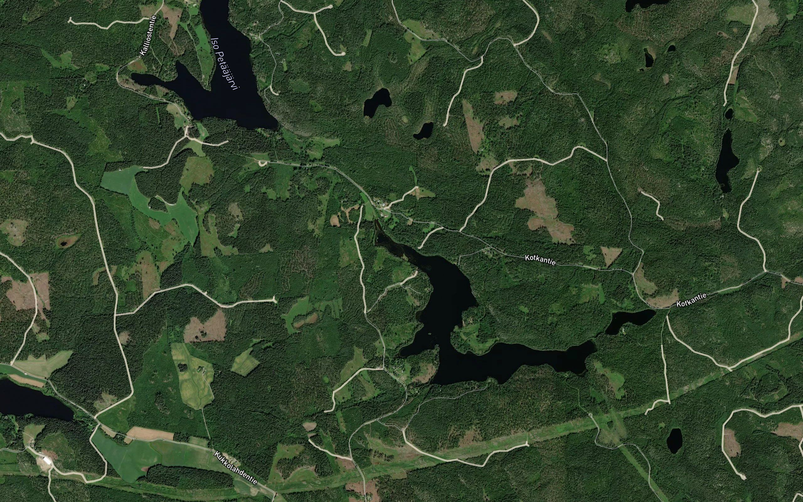 Tonkinlahti