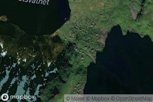 Botnelva