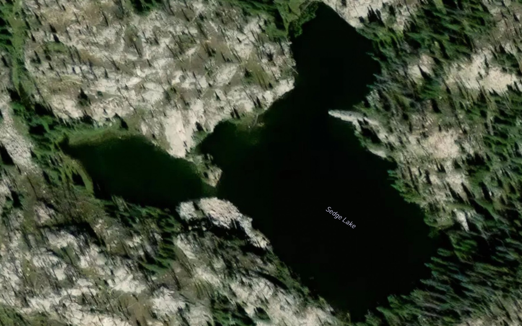 Satellite map of the Sedge Lake
