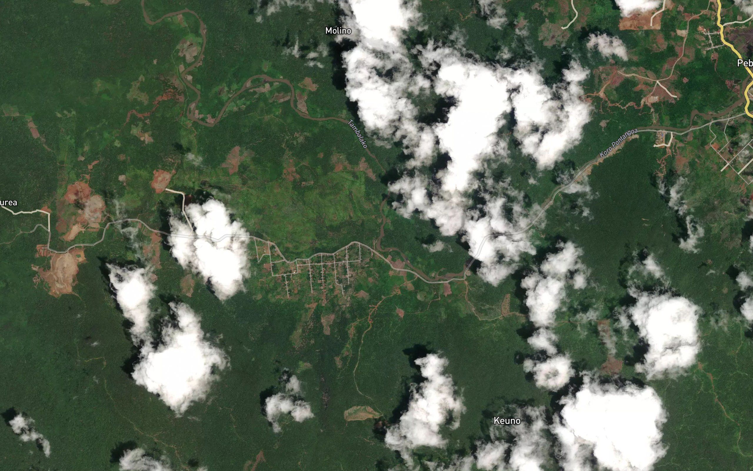 Koro Masara