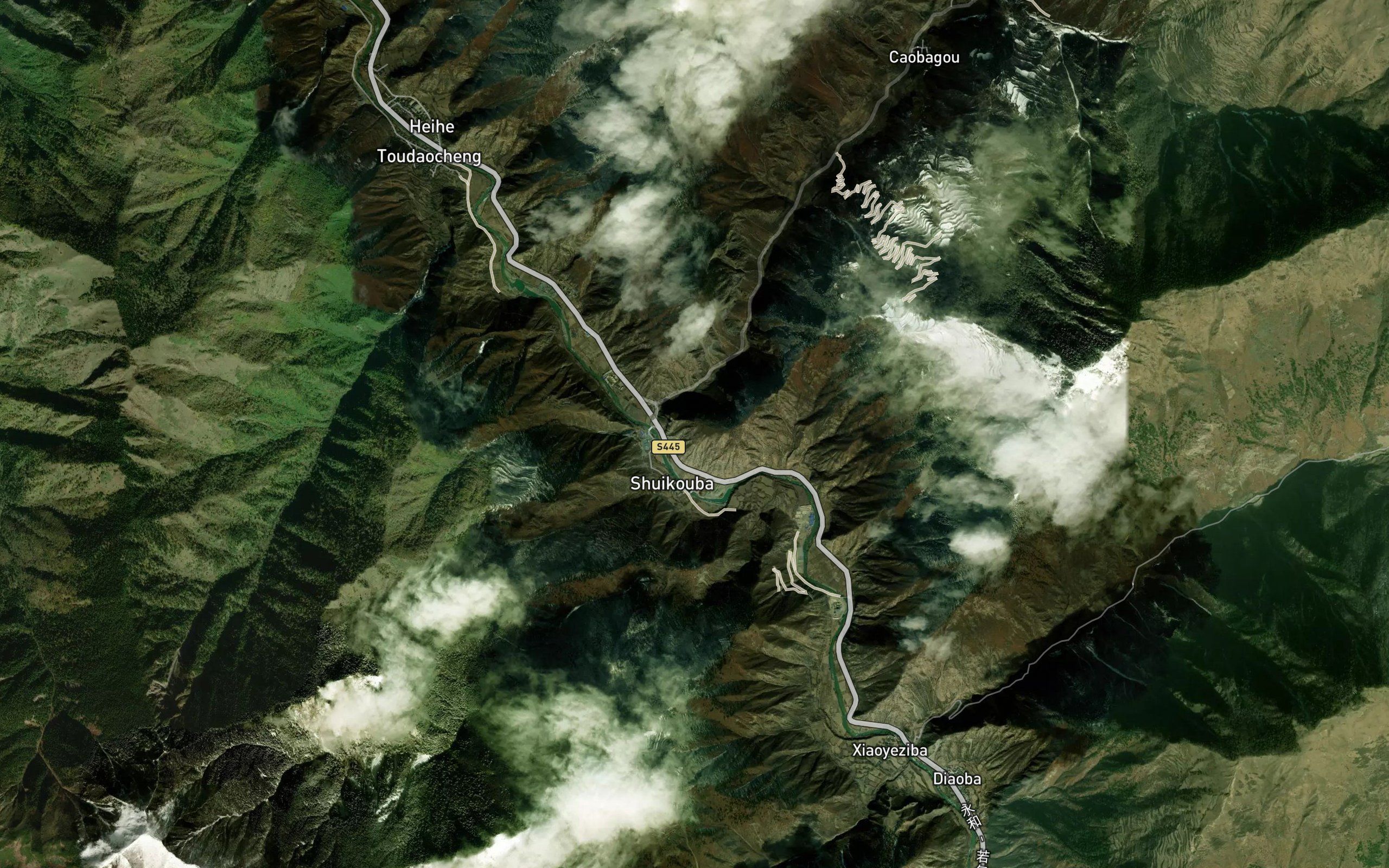 Dashe Gou