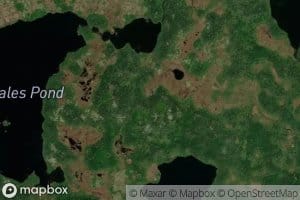 White Hills Pond
