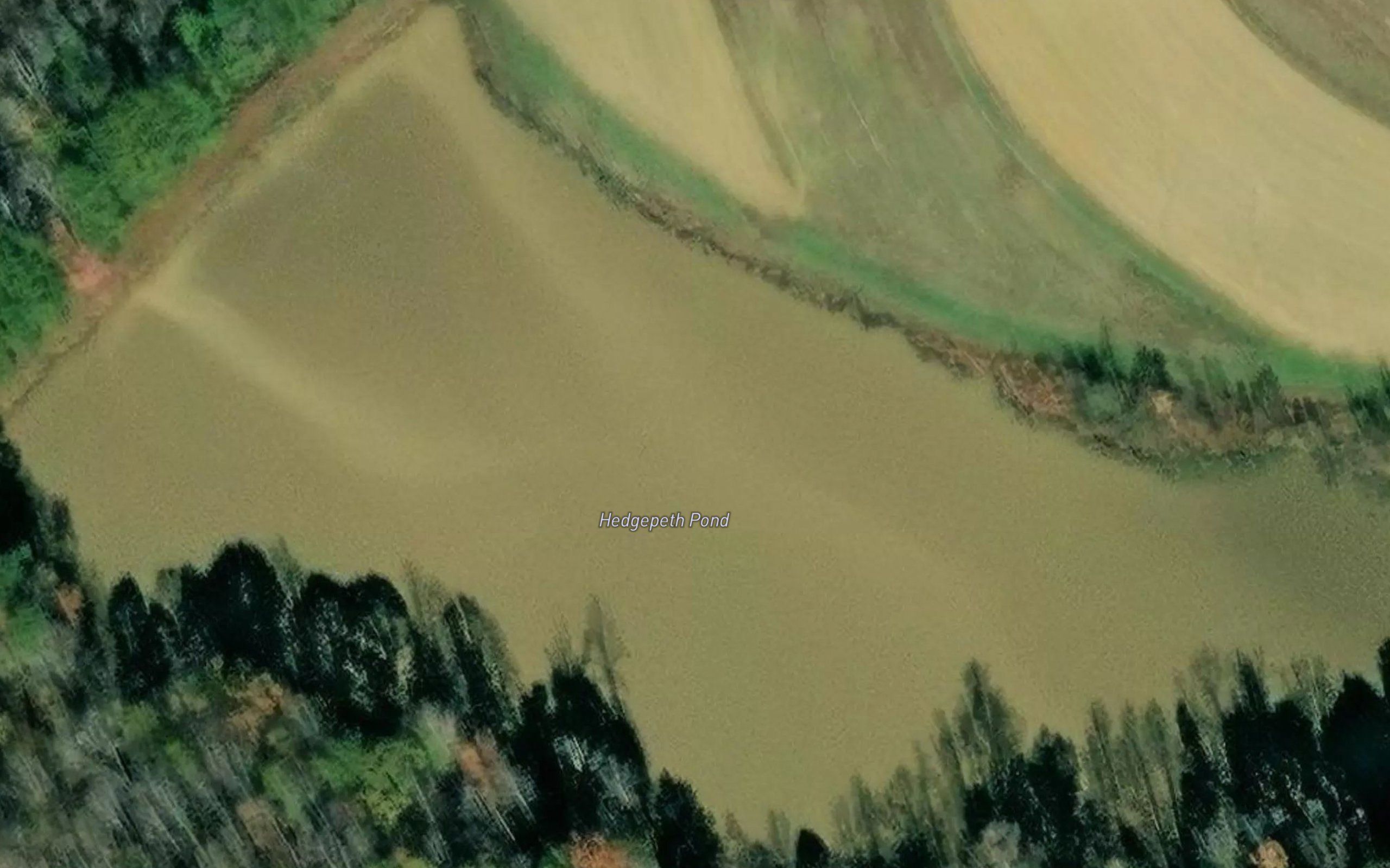 Hedgepeth Pond