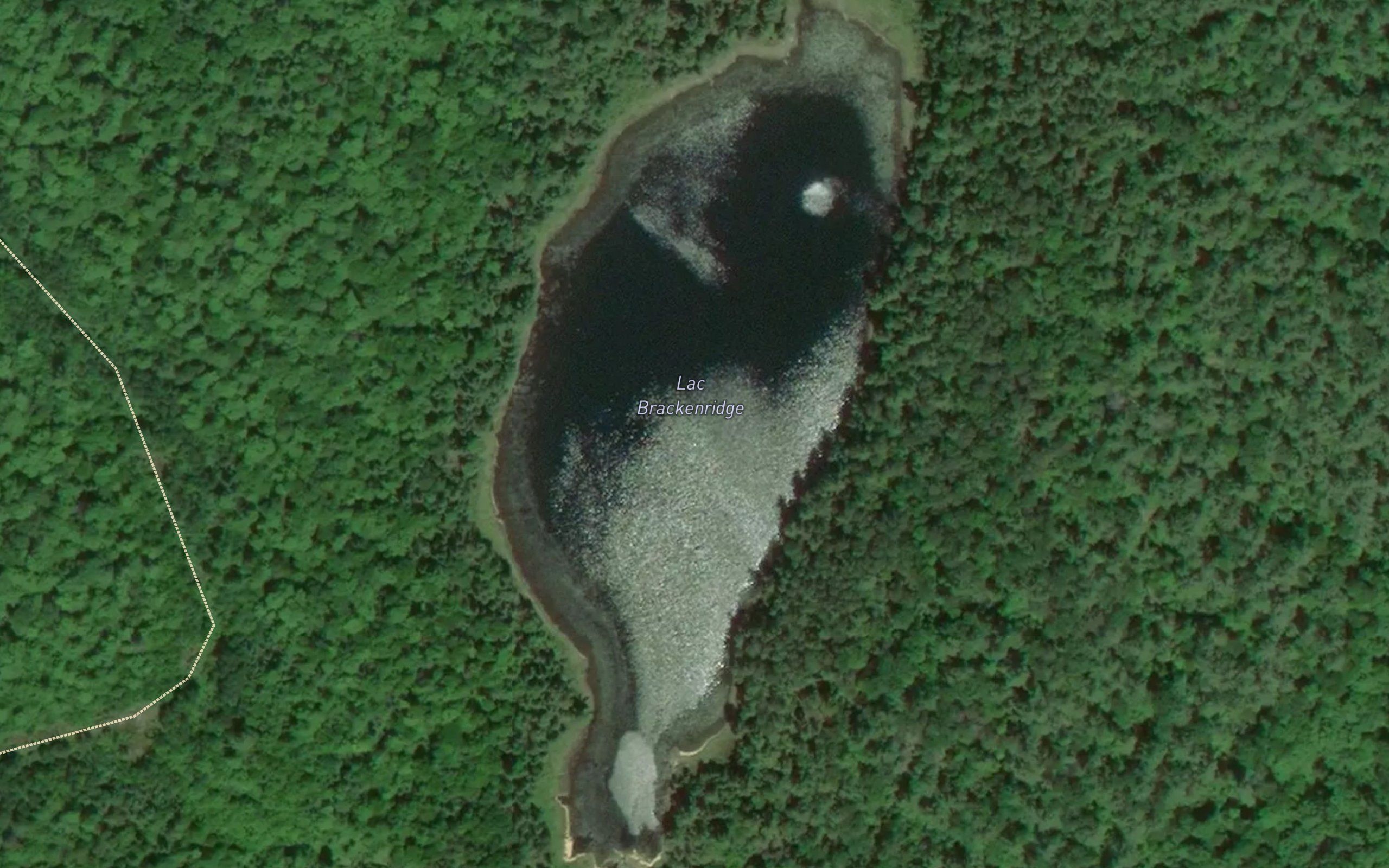 Lac Brackenridge