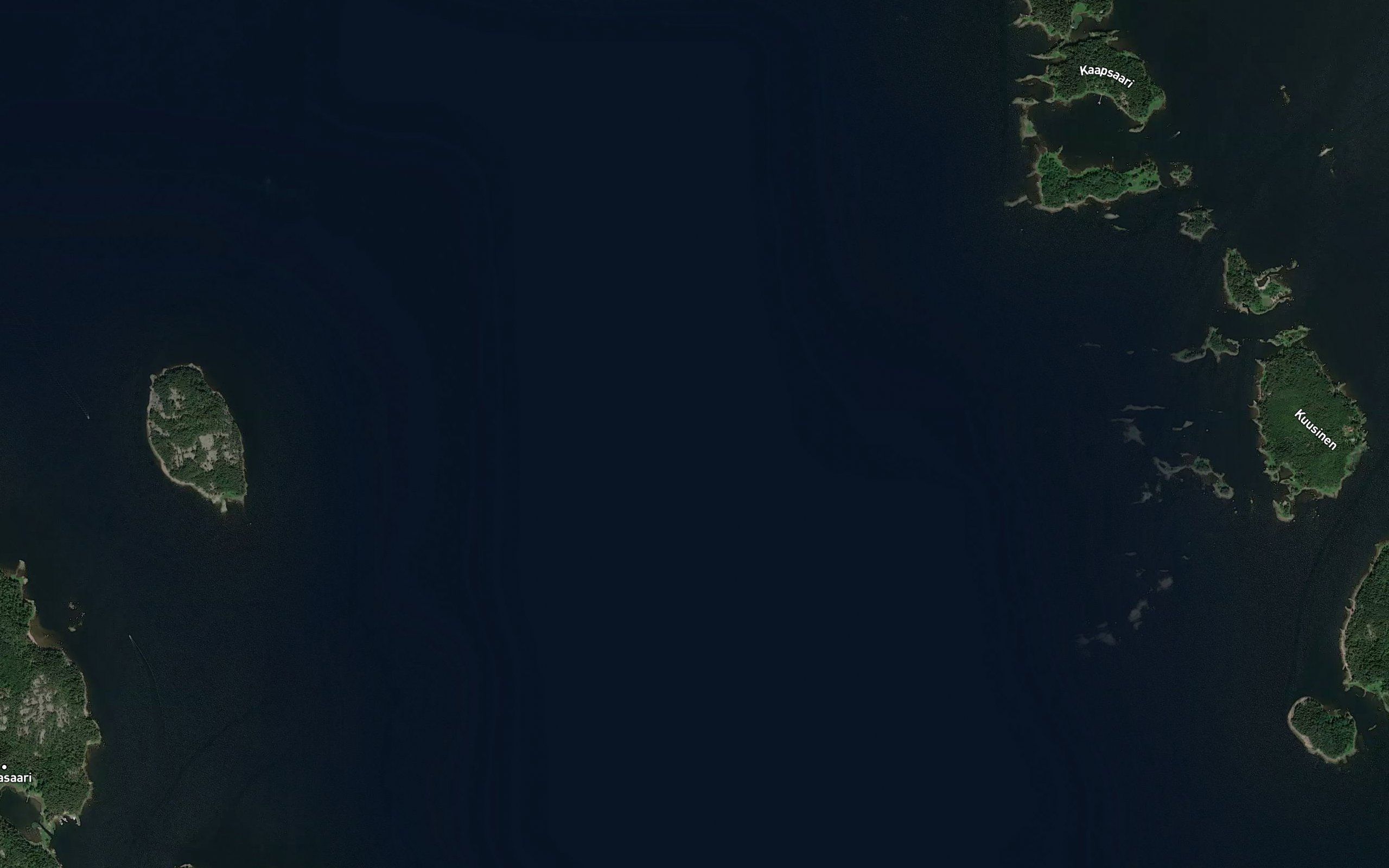 Uolionselka