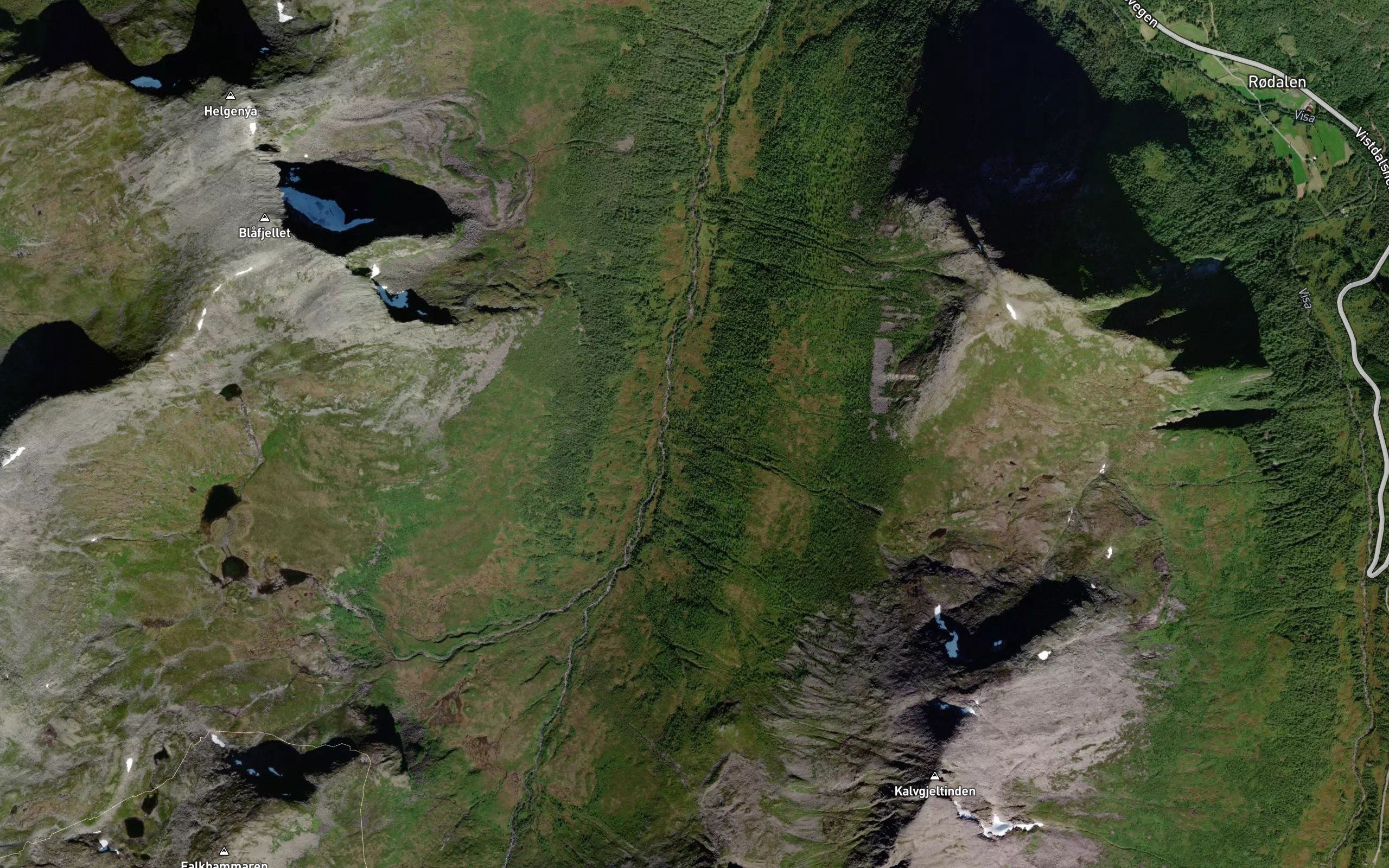 Kalvgeilana