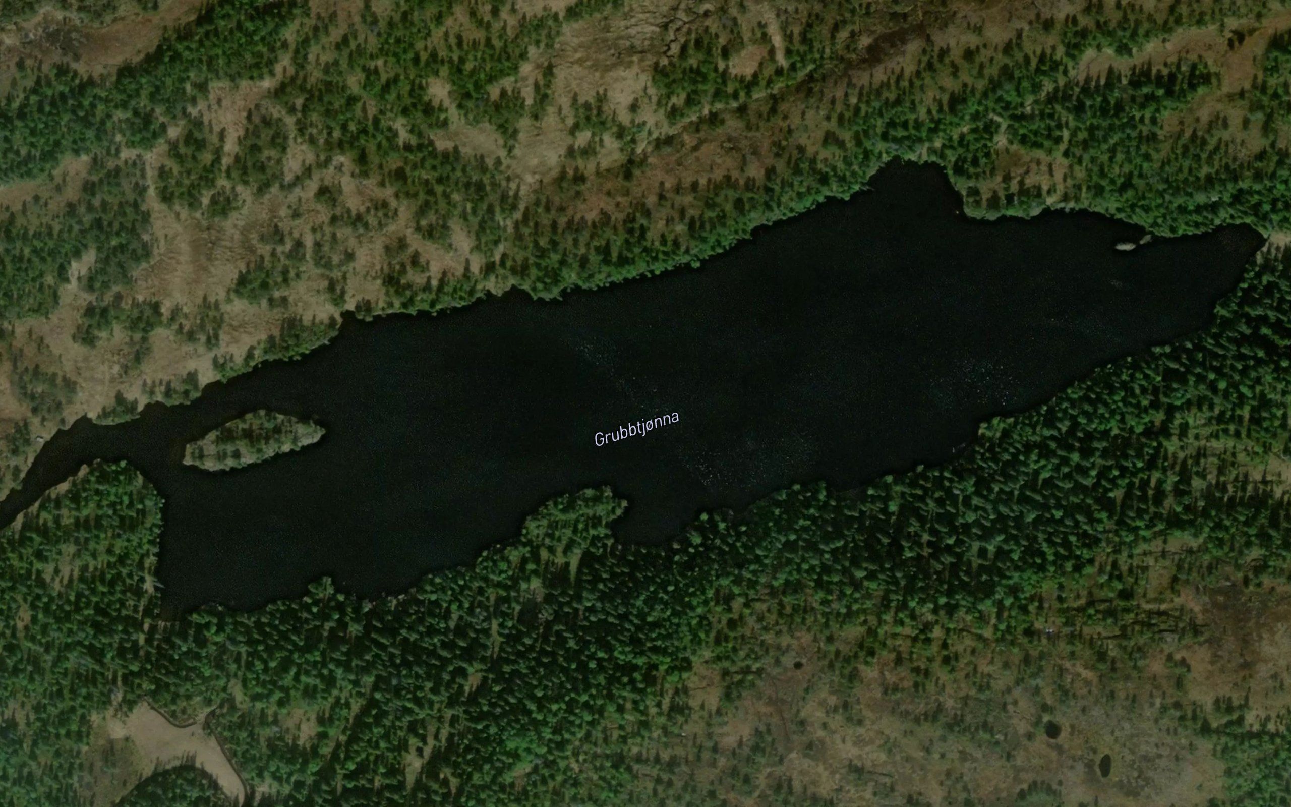 Grubbtjorna