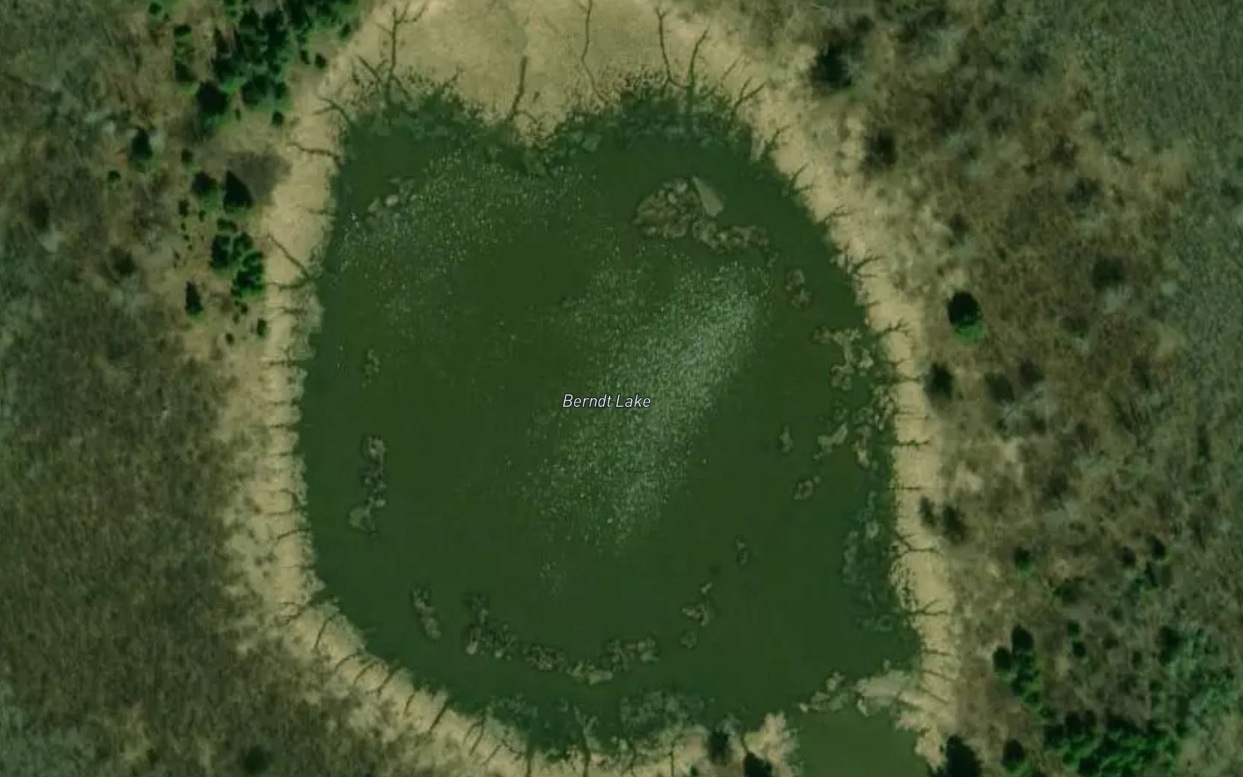Satellite map of the Berndt Lake