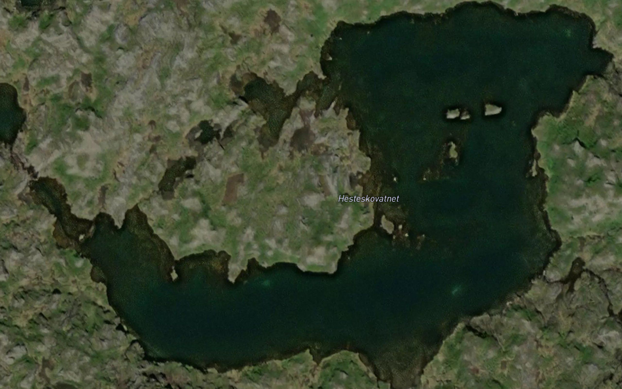 Hesteskovatnet
