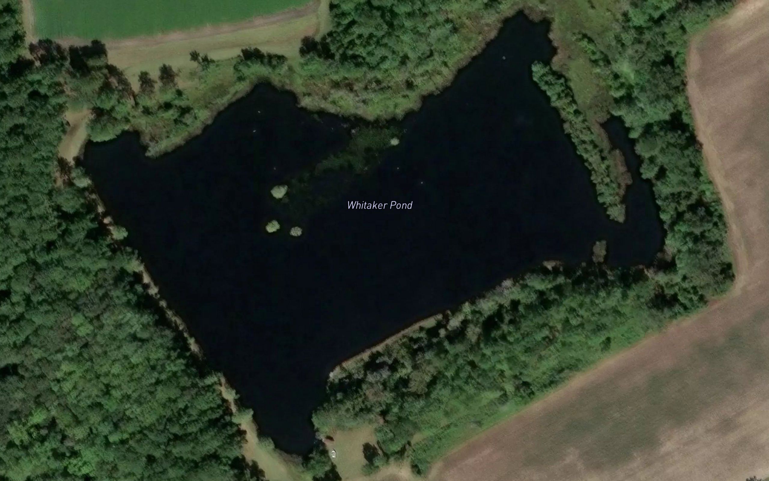 Whitaker Pond