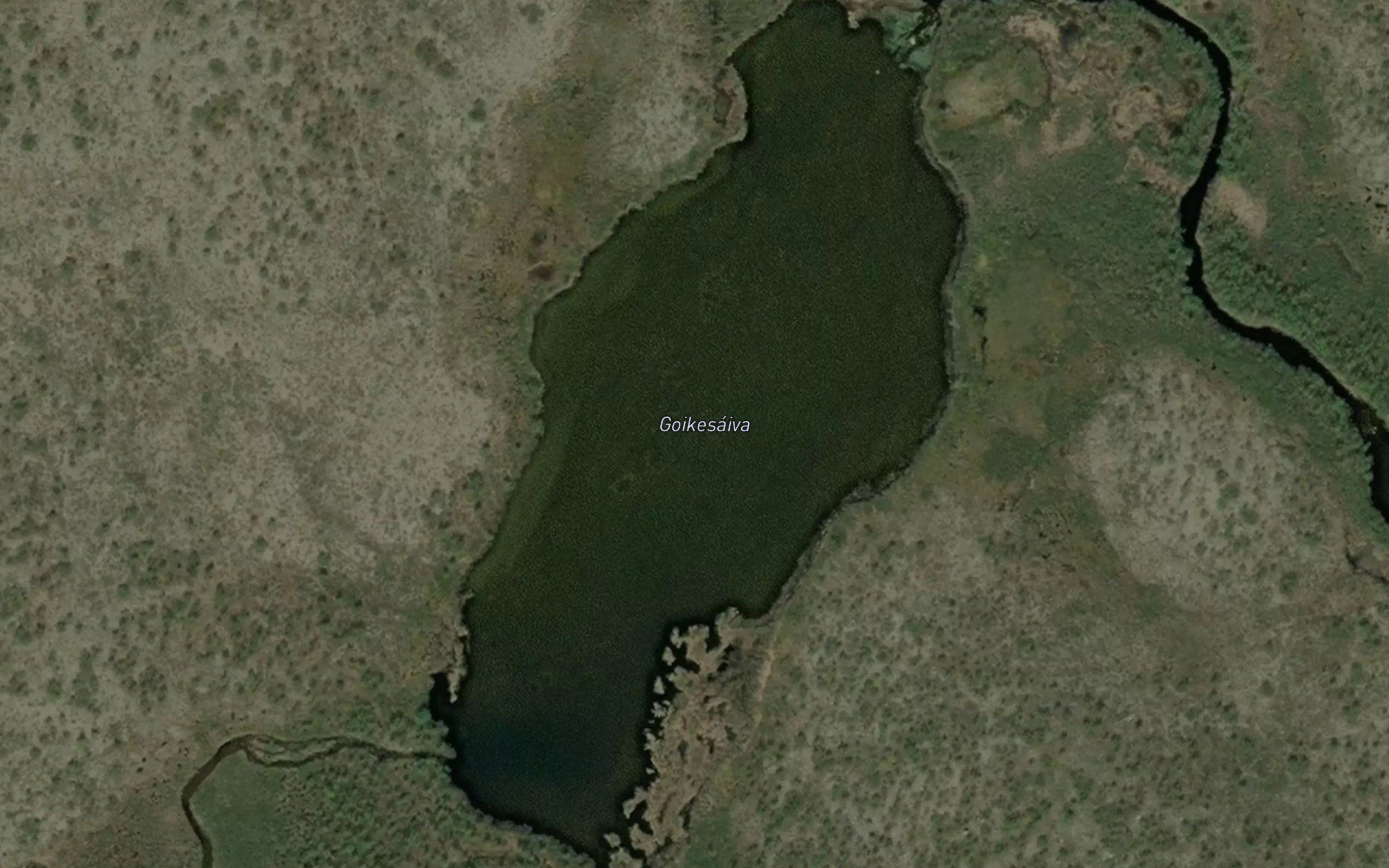 Gaikesaiva