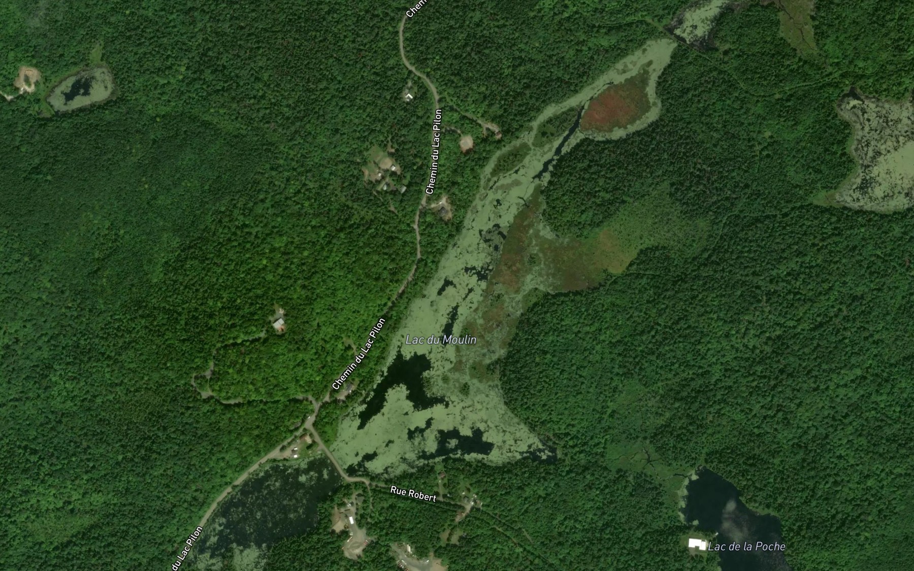 Satellite map of the Lac du Moulin