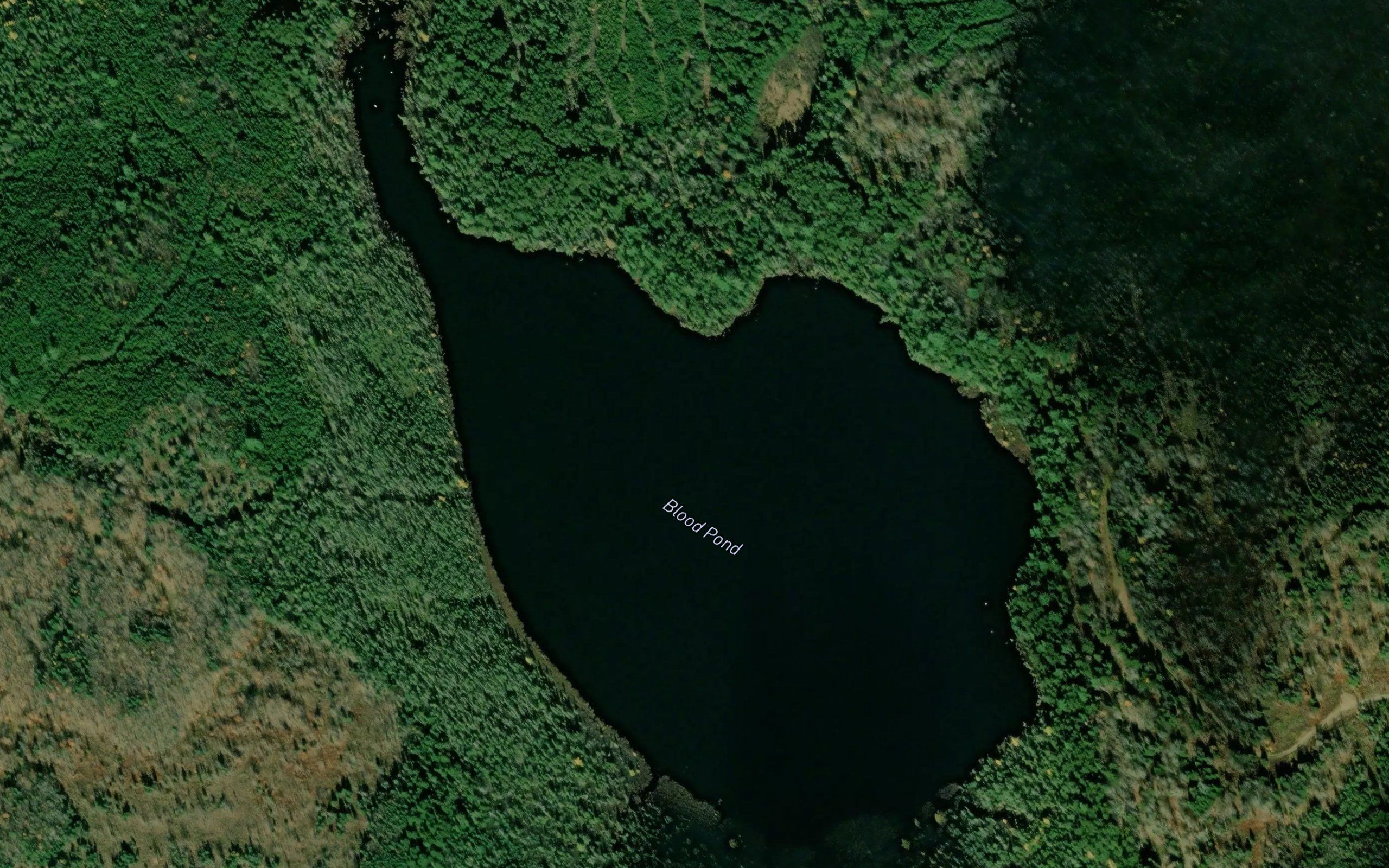 Blood Pond