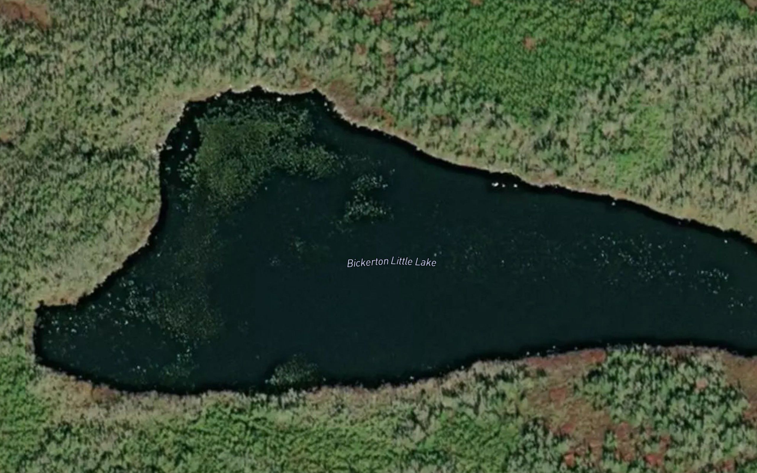 Bickerton Little Lake