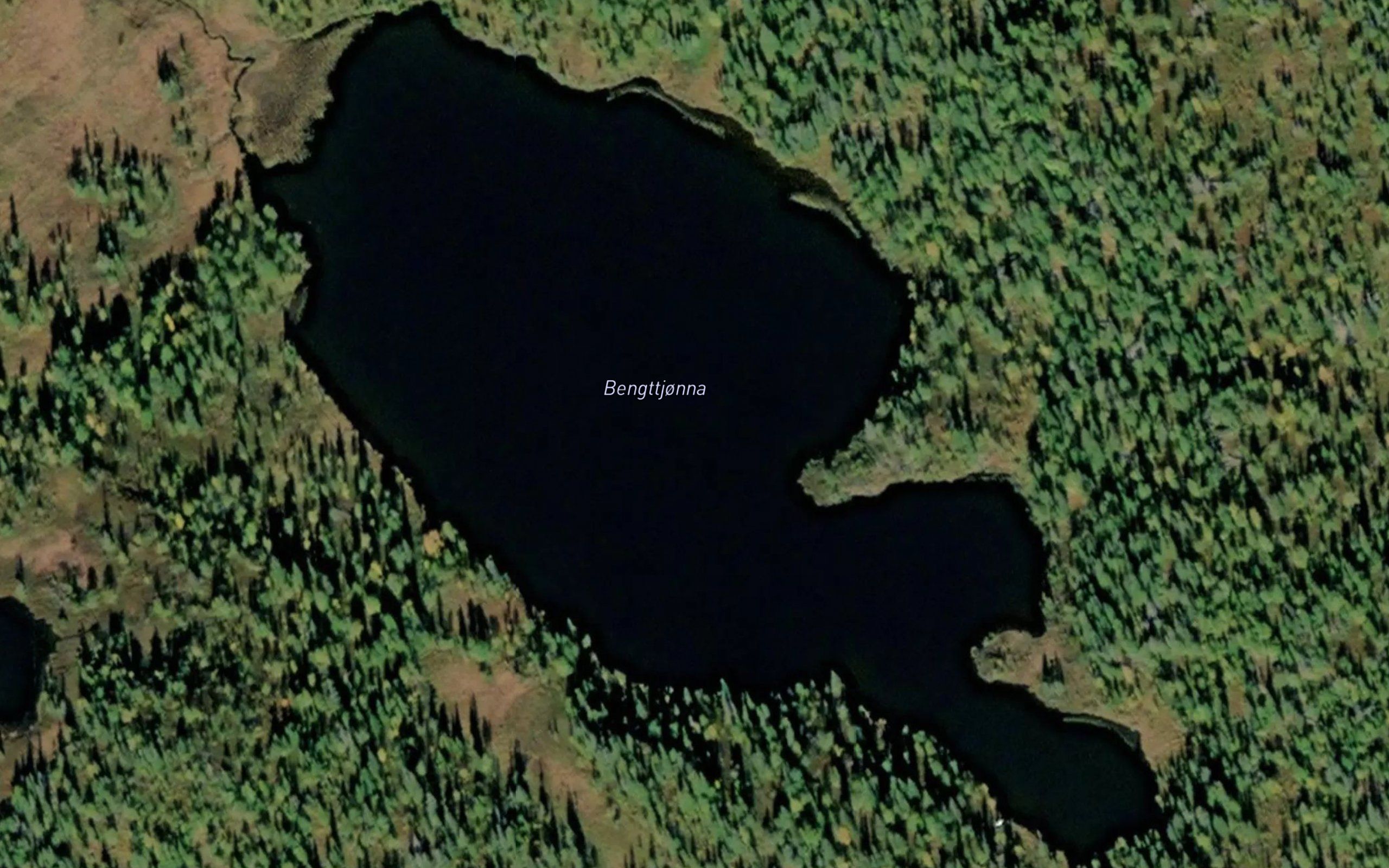 Bengttjorna