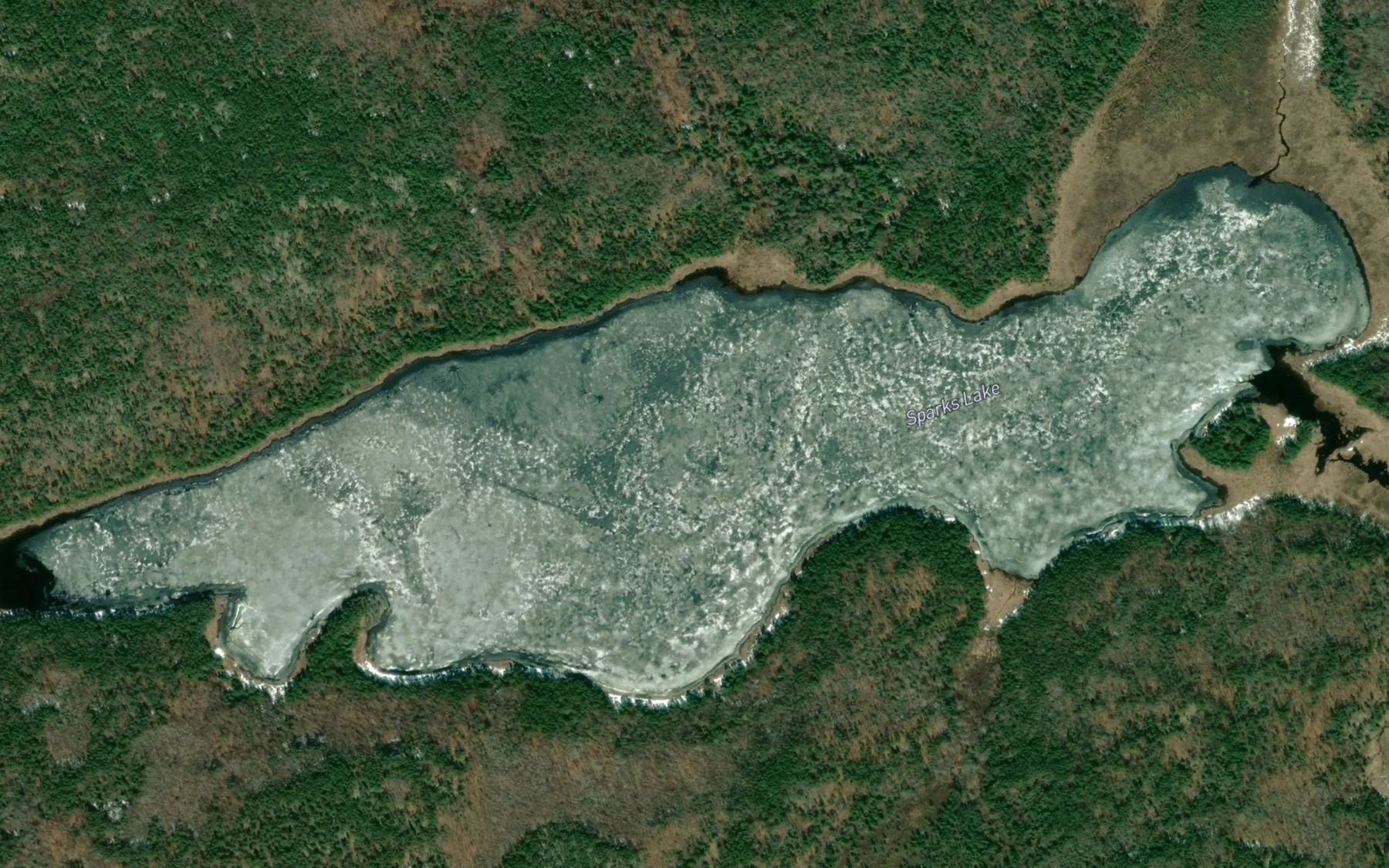Satellite map of the Sparks Lake