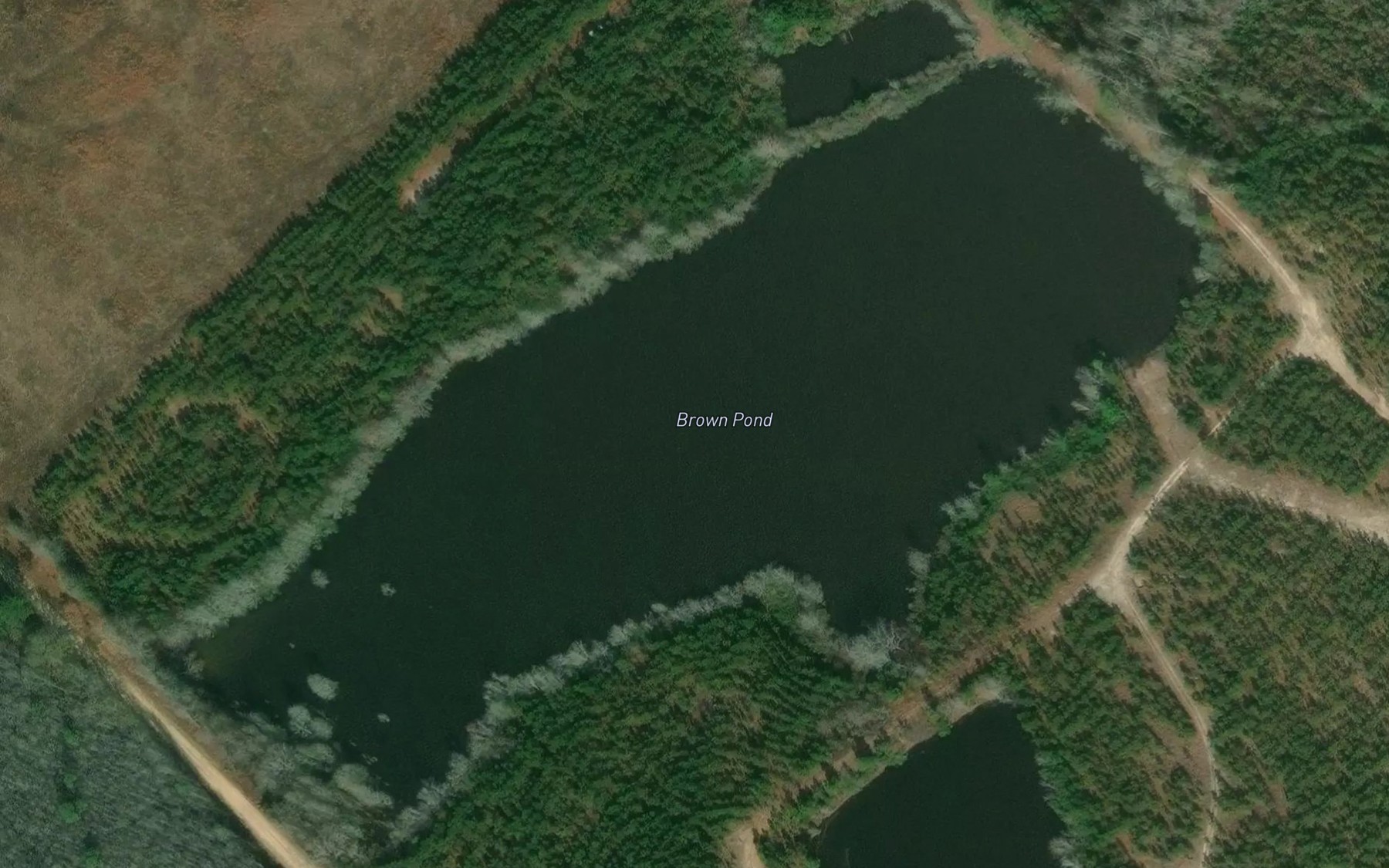 Satellite map of the Brown Pond