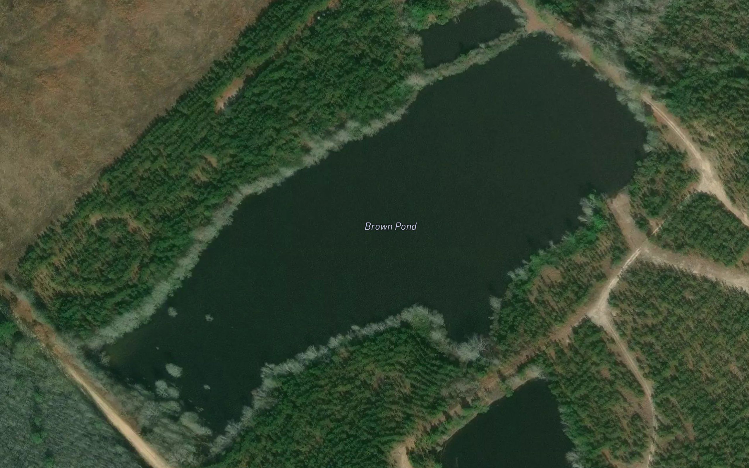 Brown Pond