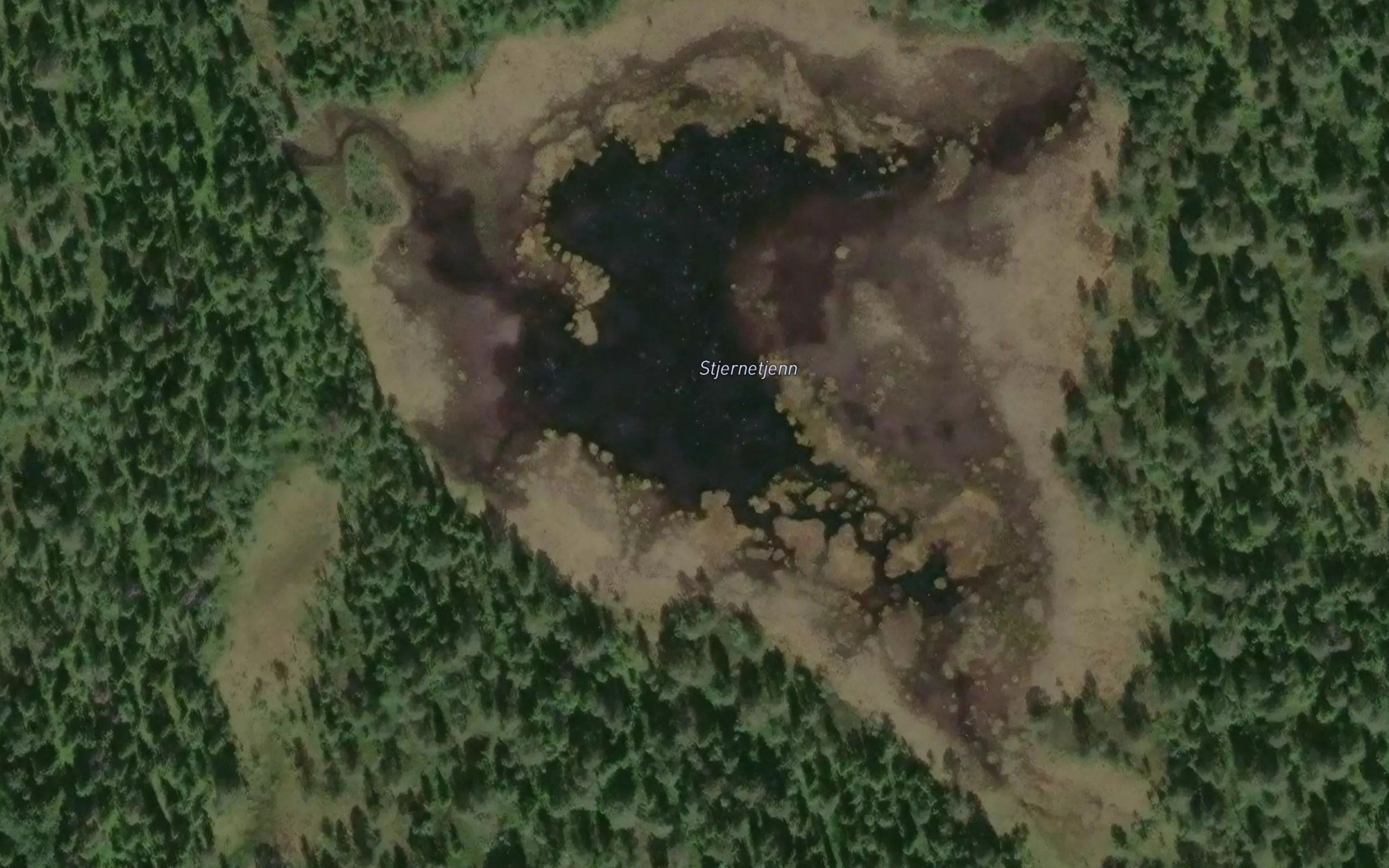 Stjernetjern