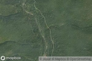 McCartney Creek