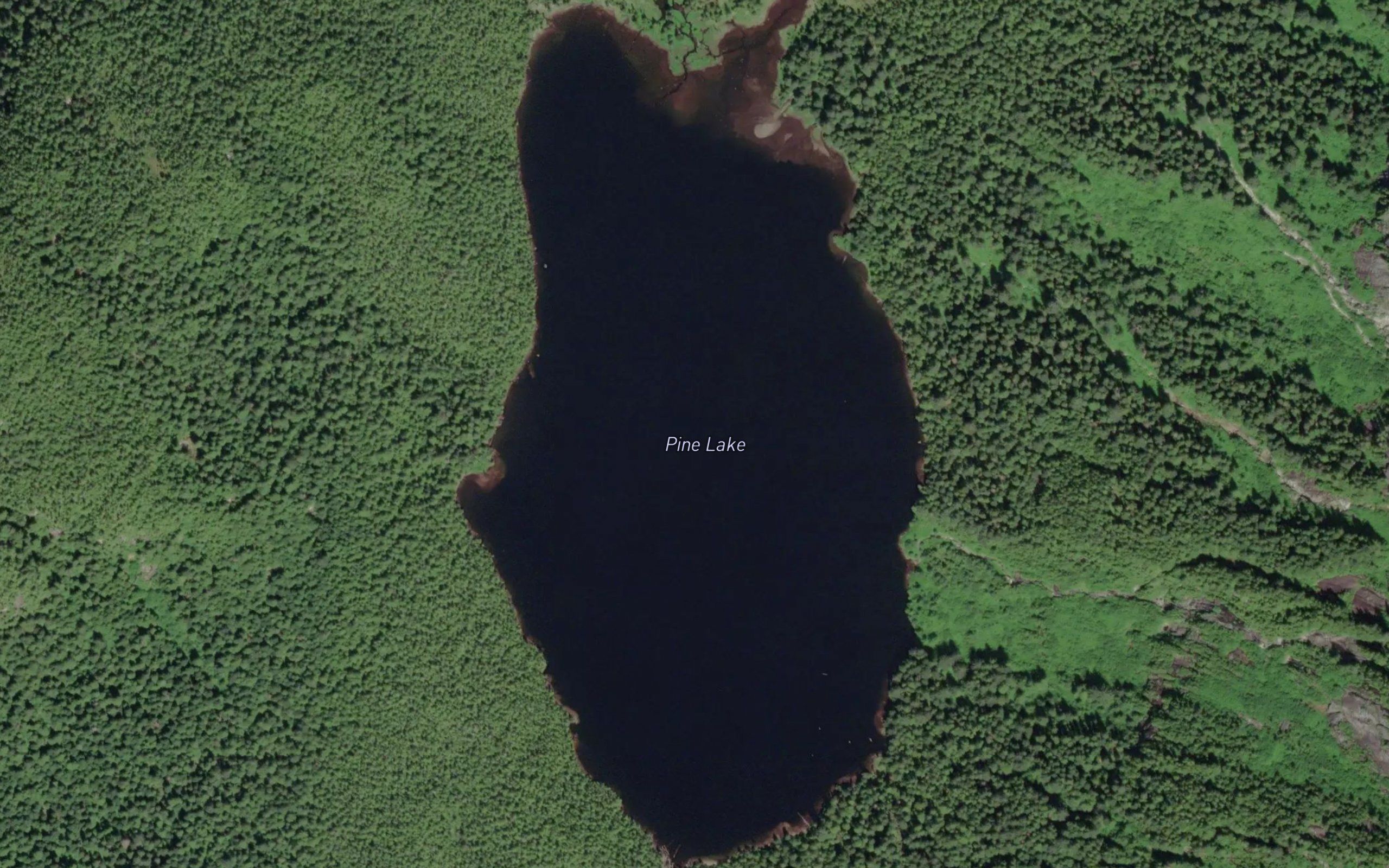 Pine Lake