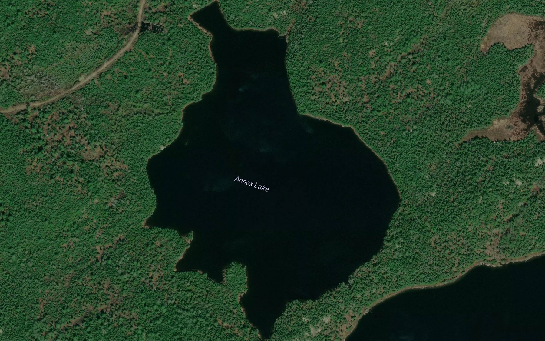 Satellite map of the Annex Lake