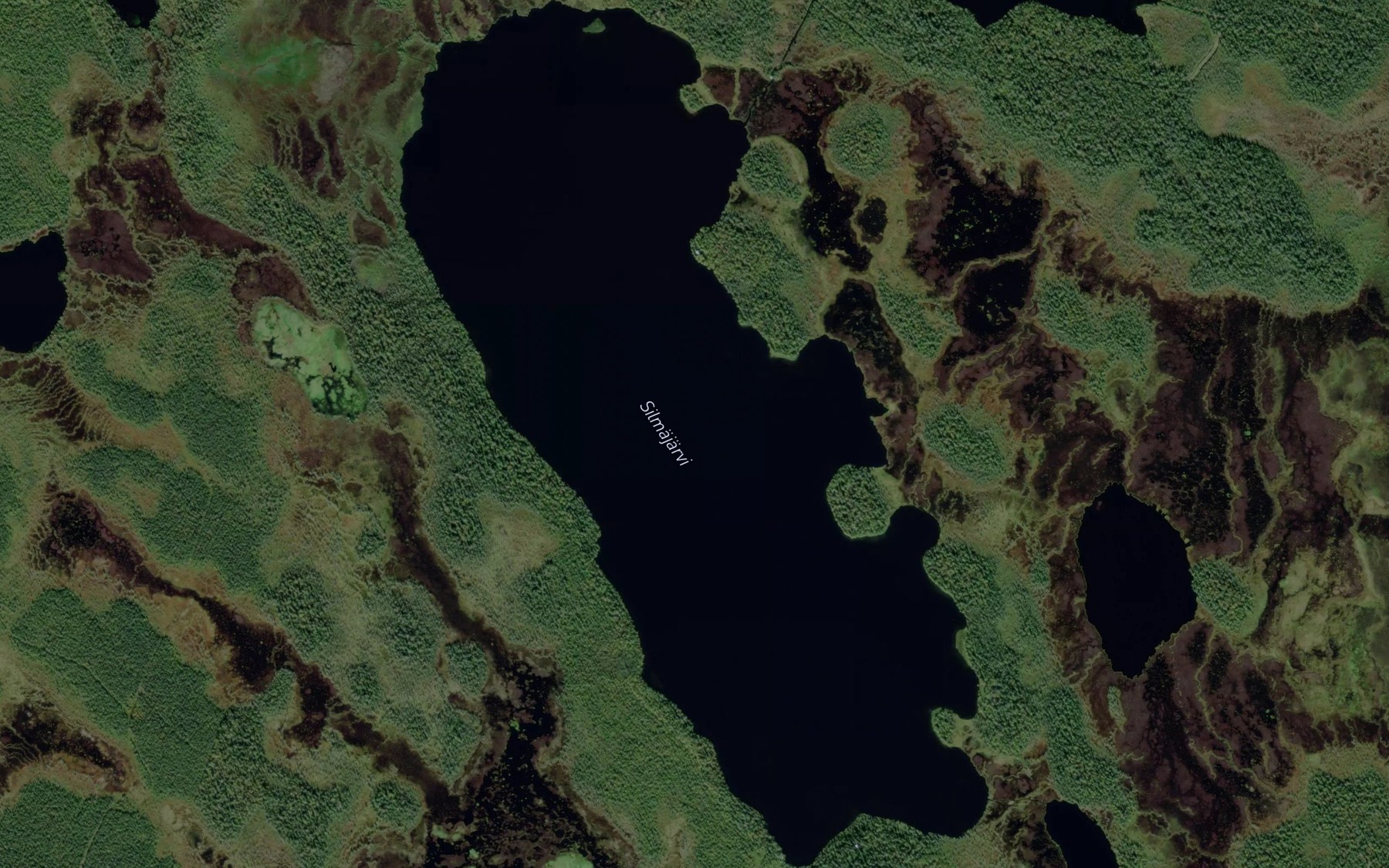 Satellite map of the Silmajarvi