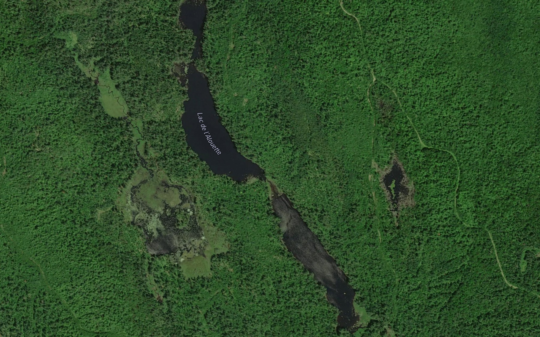 Satellite map of the Lac de l'Alouette