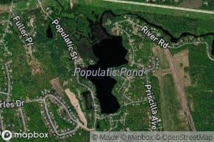 Populatic Pond