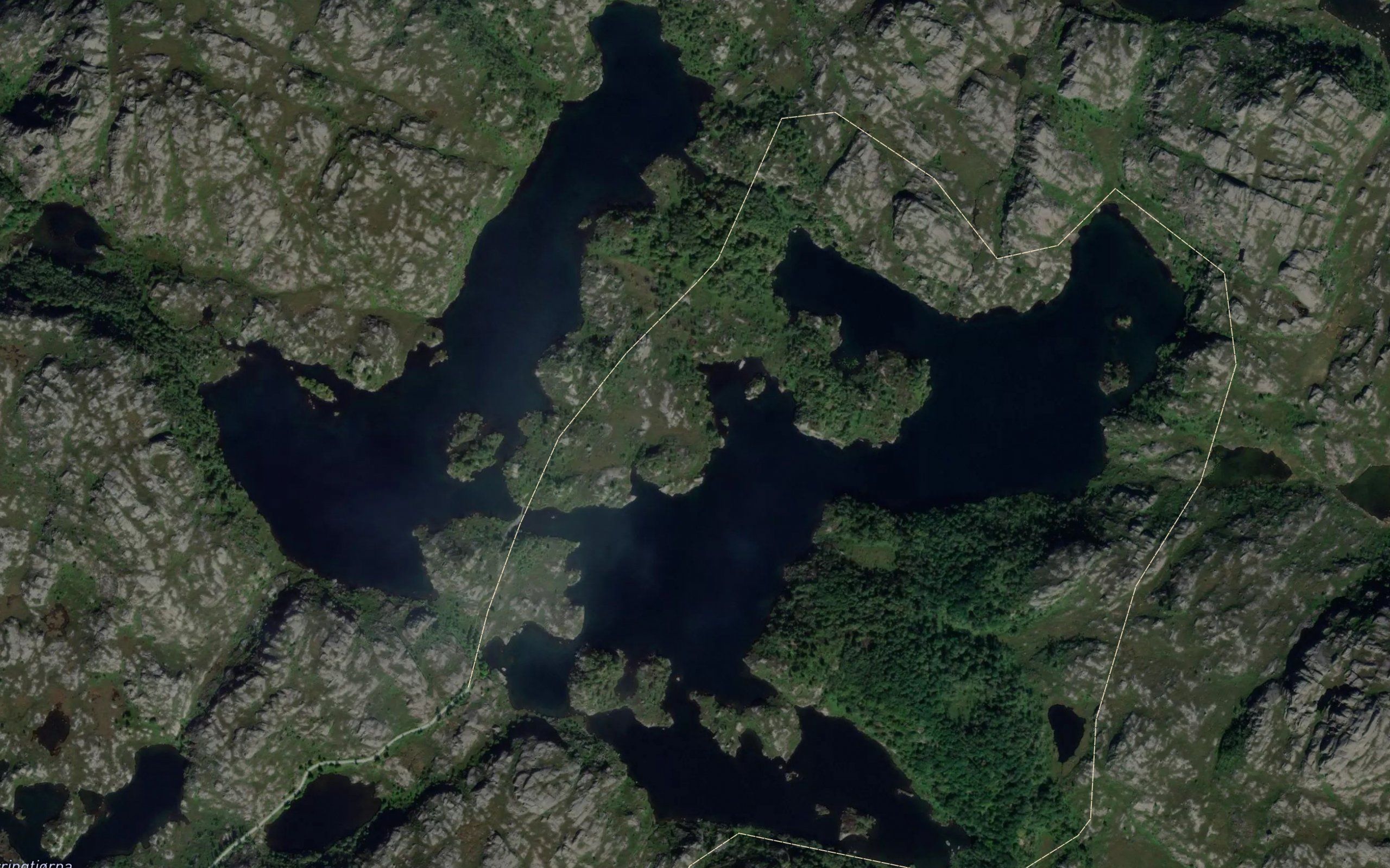 Branndalsvatnet