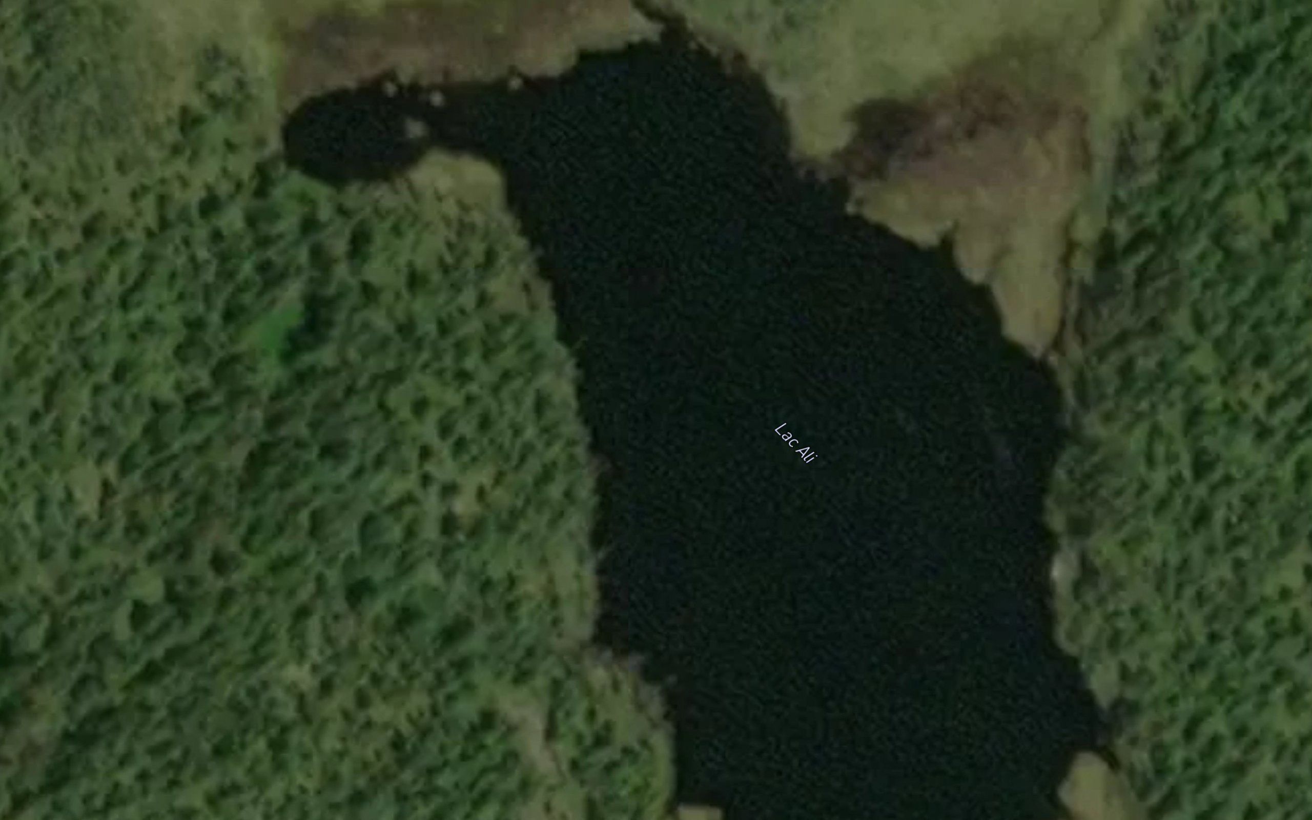 Lac Ali