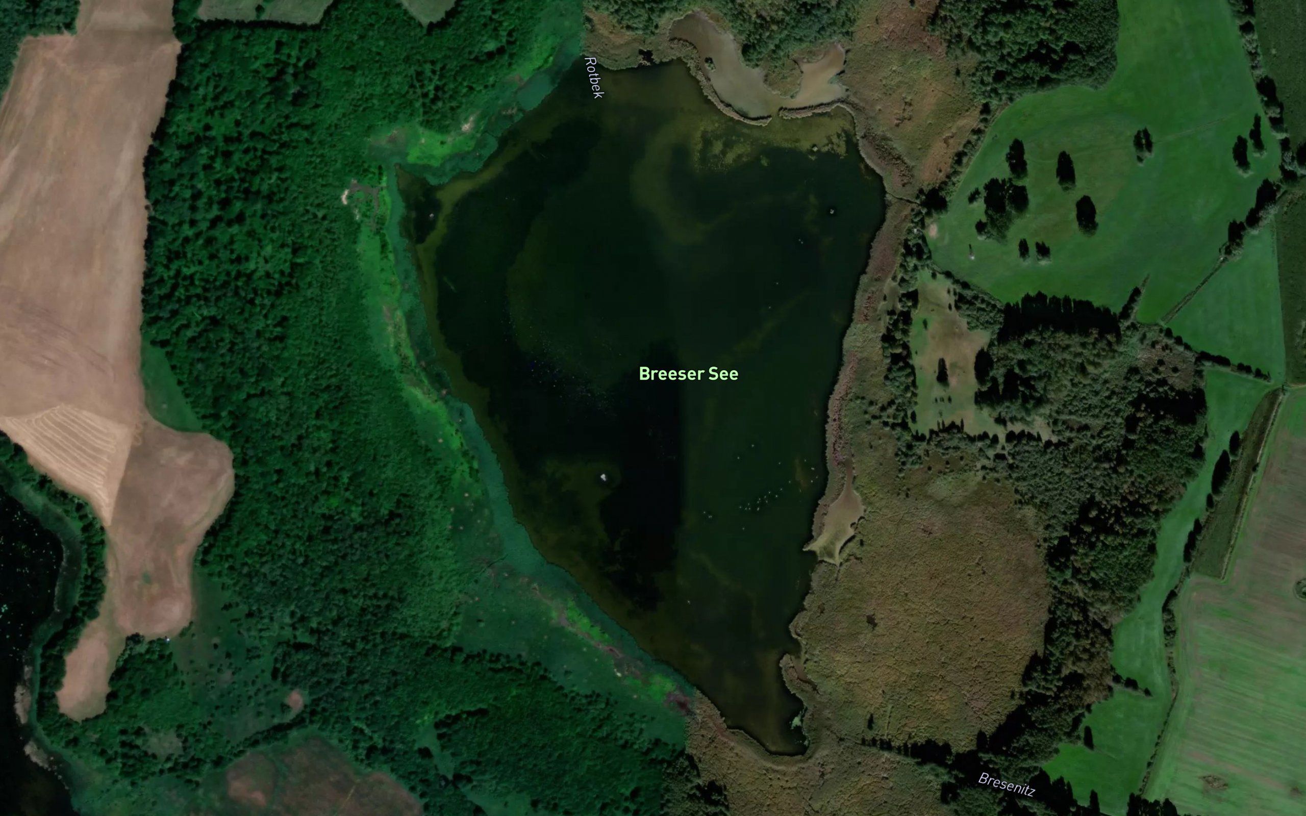 Breeser See