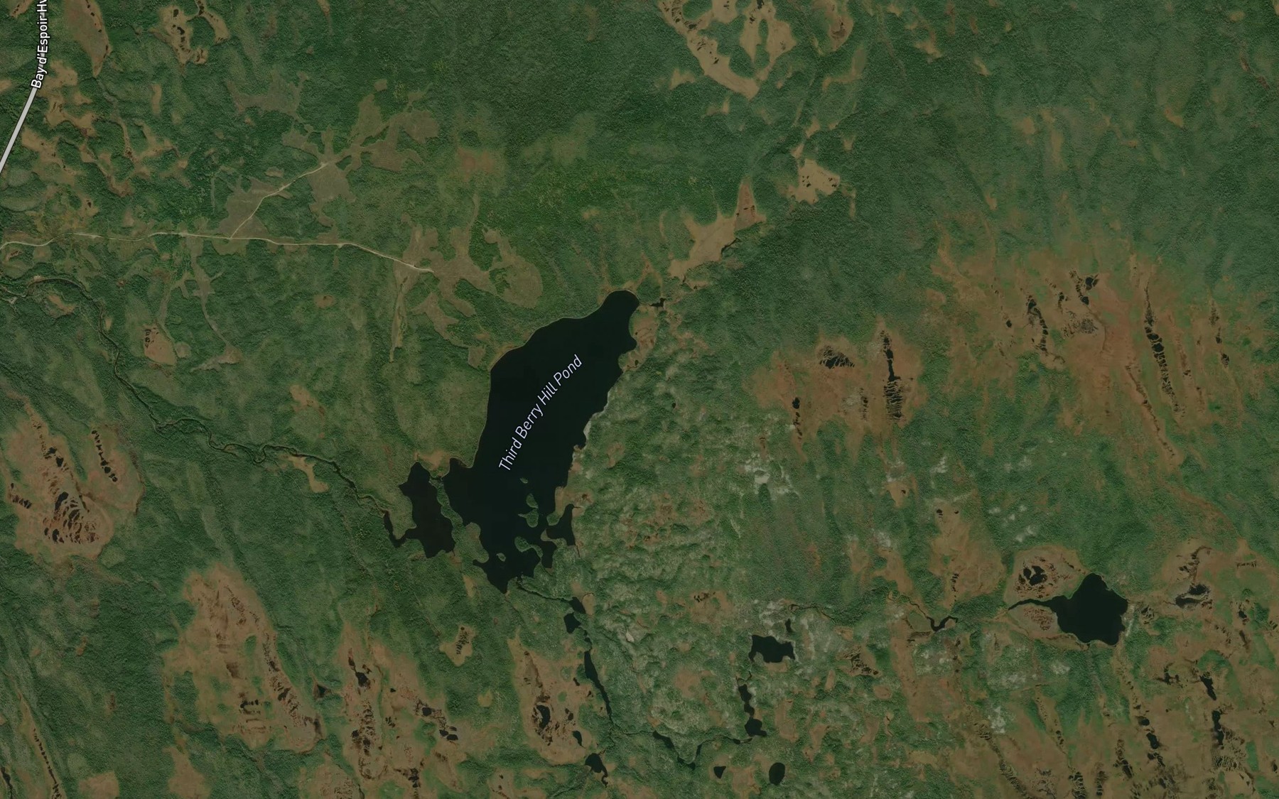 Satellite map of the Third Berry Hill Pond