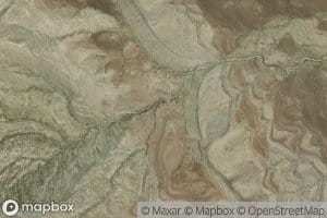 Palomas Moonshine Spring